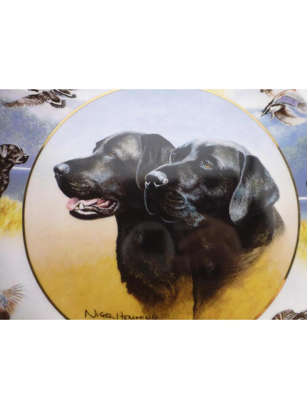 Royal Doulton Franklin Mint Sporting Life Black Labrador Retriever Plate D13 - Picture 9 of 9